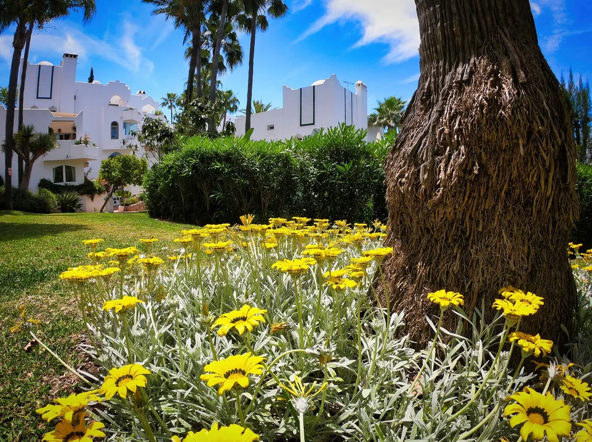 23ea037d-4d2d-436f-8d40-5b8abdb4a7cf