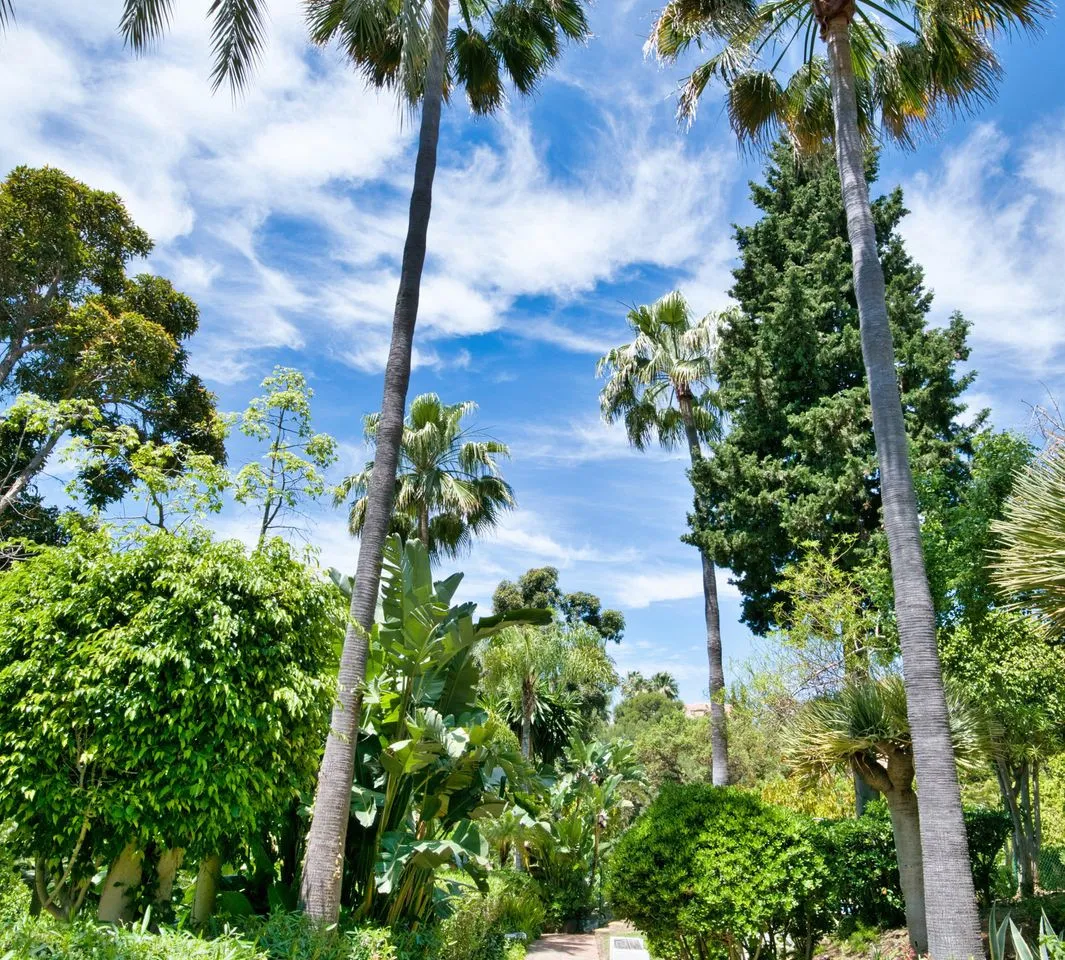 9abe7626-858a-47e9-9be6-f250cbf592cd