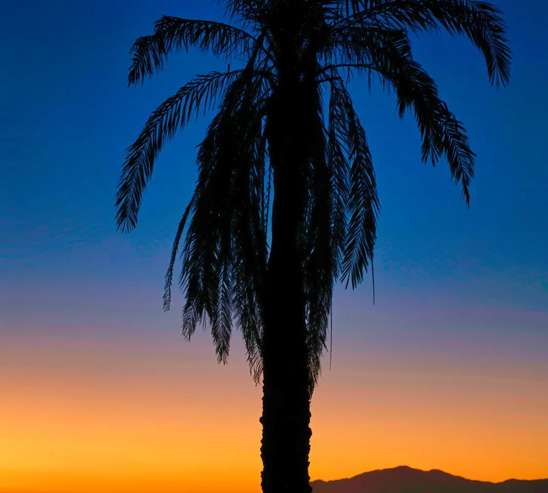 9e405d7c-8a8e-4545-a504-62cc70458165