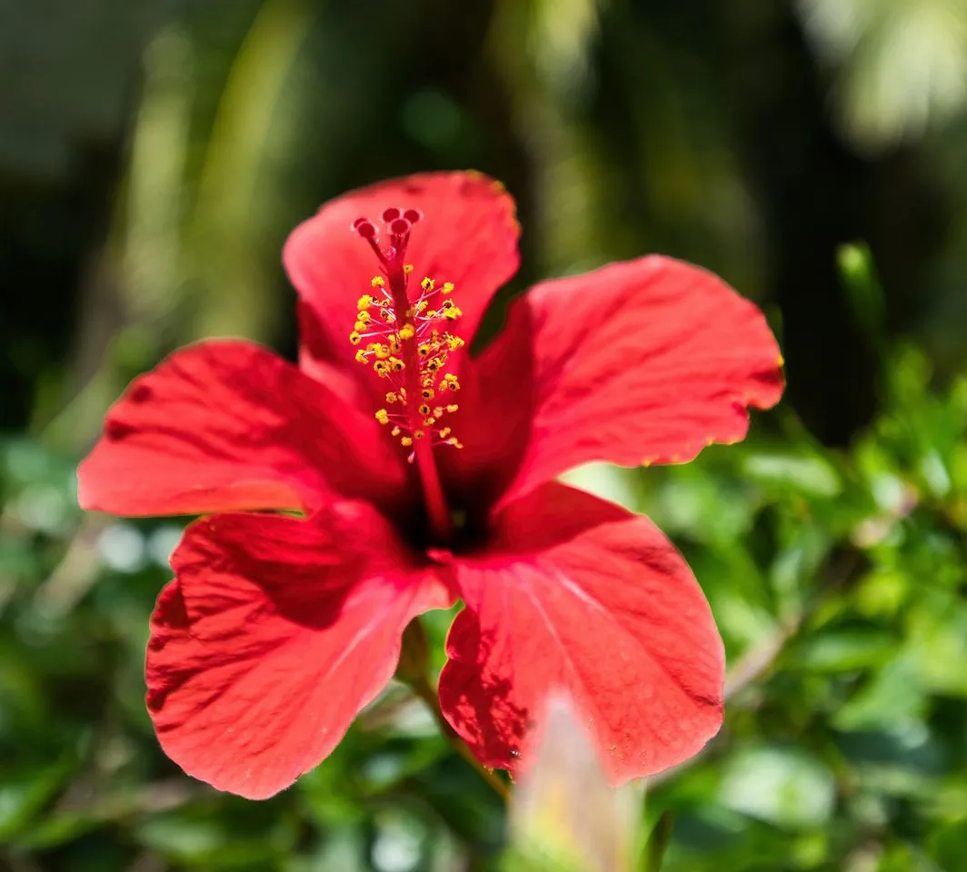 a0ff2fe1-c6d4-41e4-a4a9-dbc9e718df3f