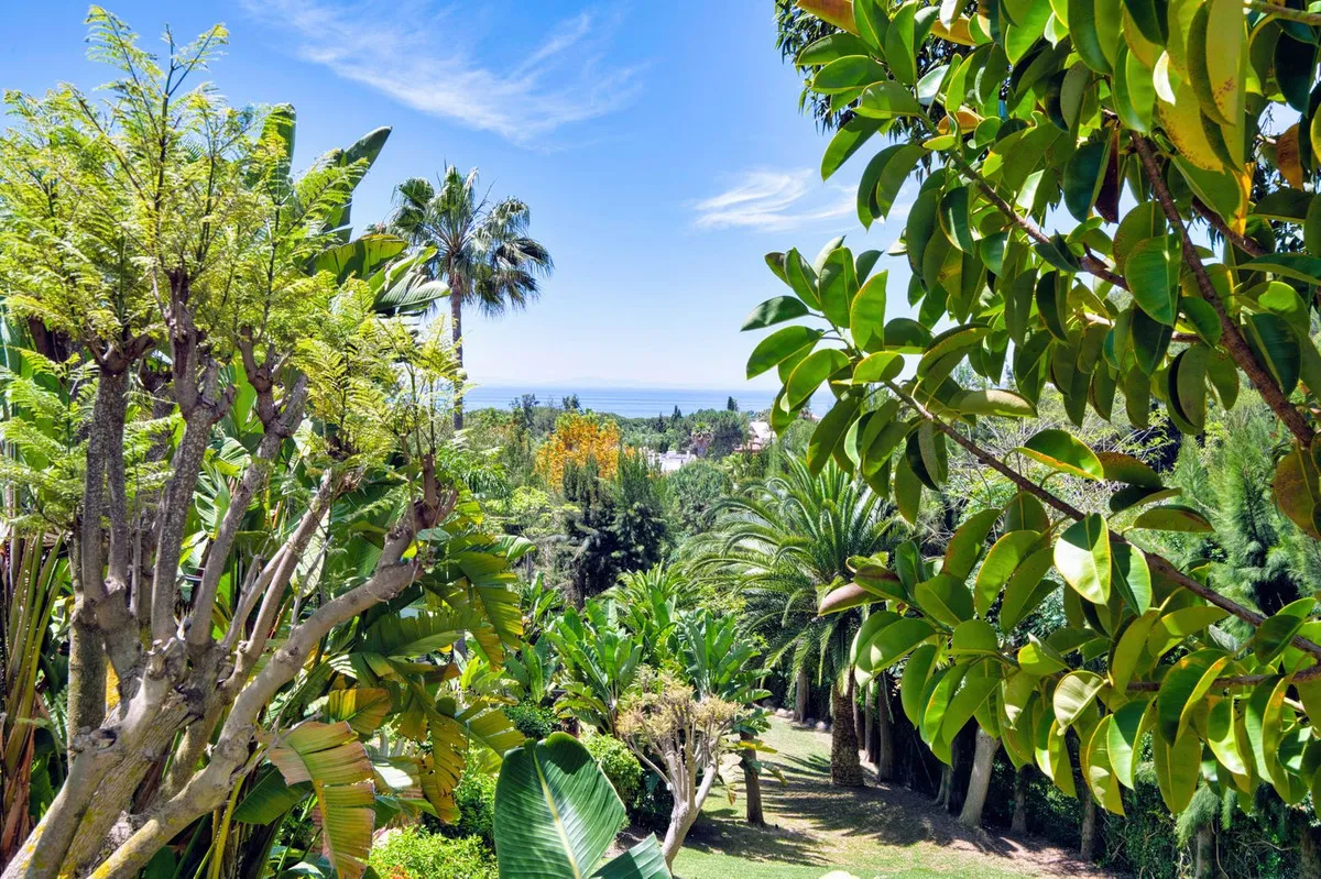 f9b1cc38-ca02-4216-9143-55c8c35eb6f9