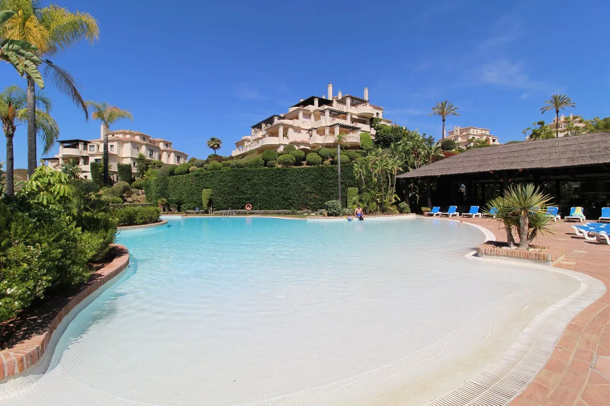 cffe7e86-ef5f-4dd0-94c2-2c36a877c024