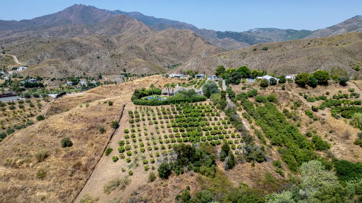 084d13de-d895-480c-bdcc-d8163d29c6d4