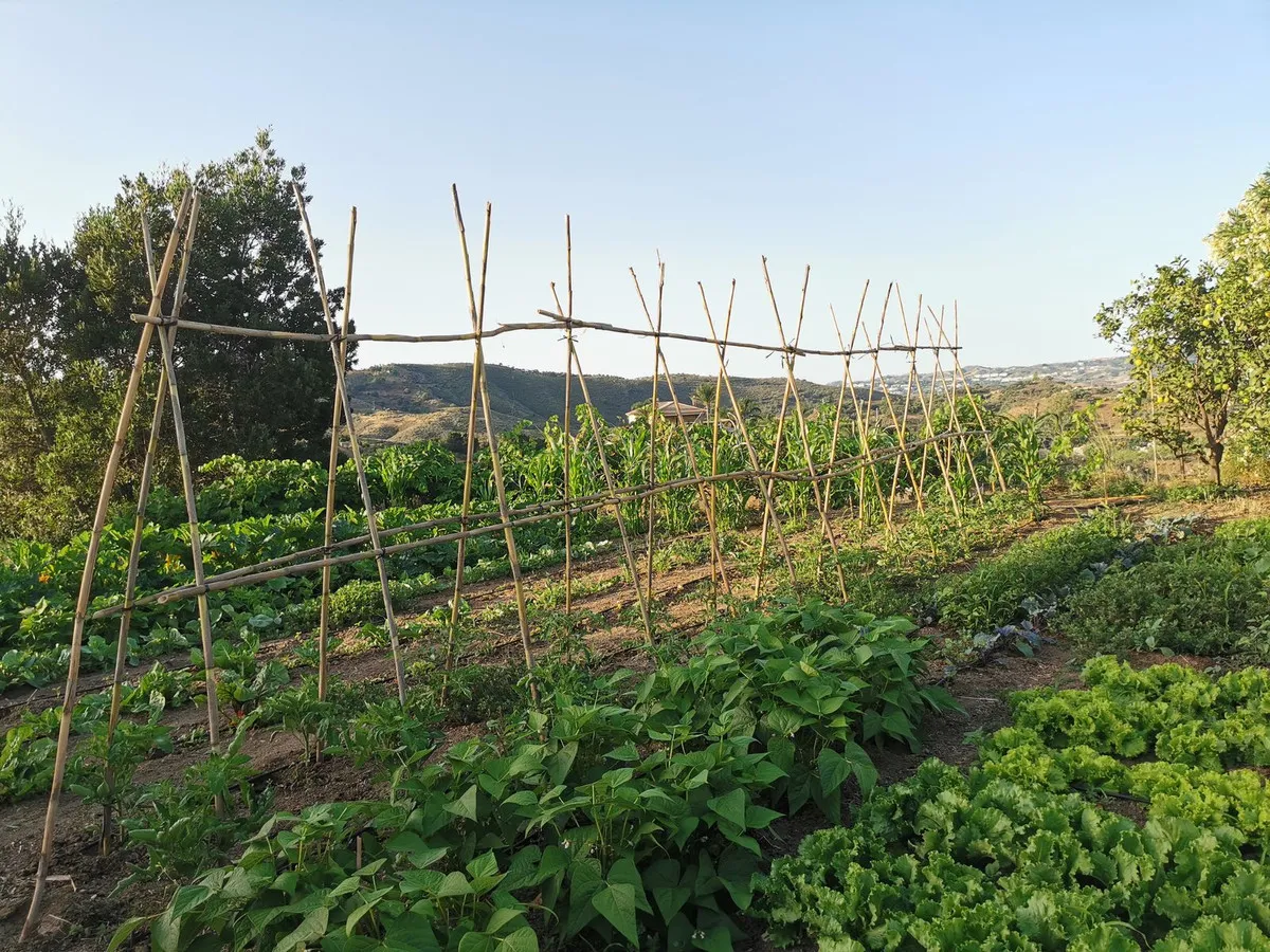 3e92cd64-65cc-4f9d-8ad9-952d11db6226