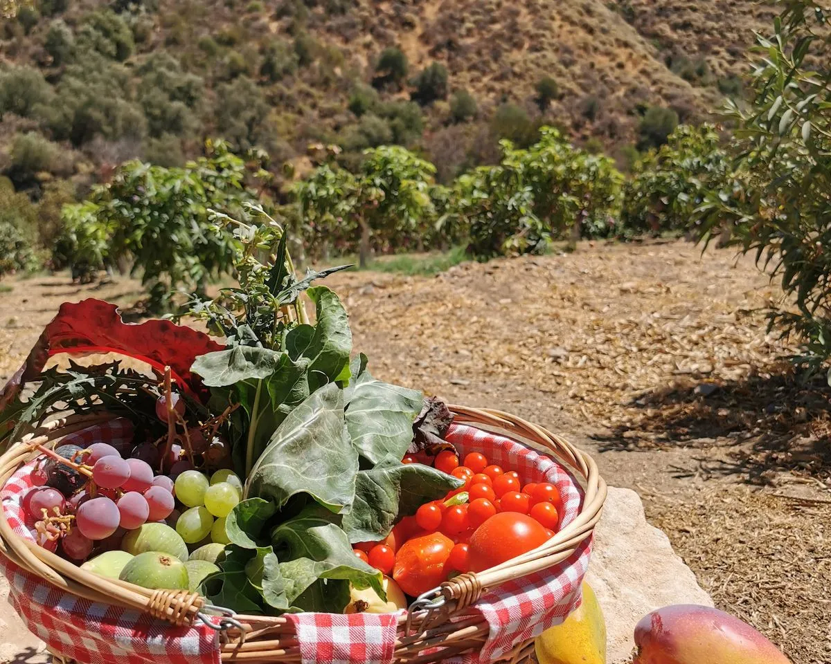 4d8ff435-ae69-48d9-97a5-bfef7dce0e17