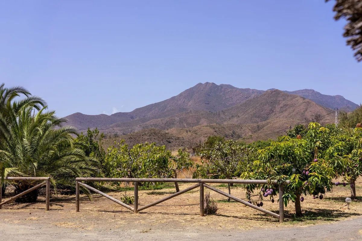 69405f35-20eb-4023-b735-5f2112e4f2bd