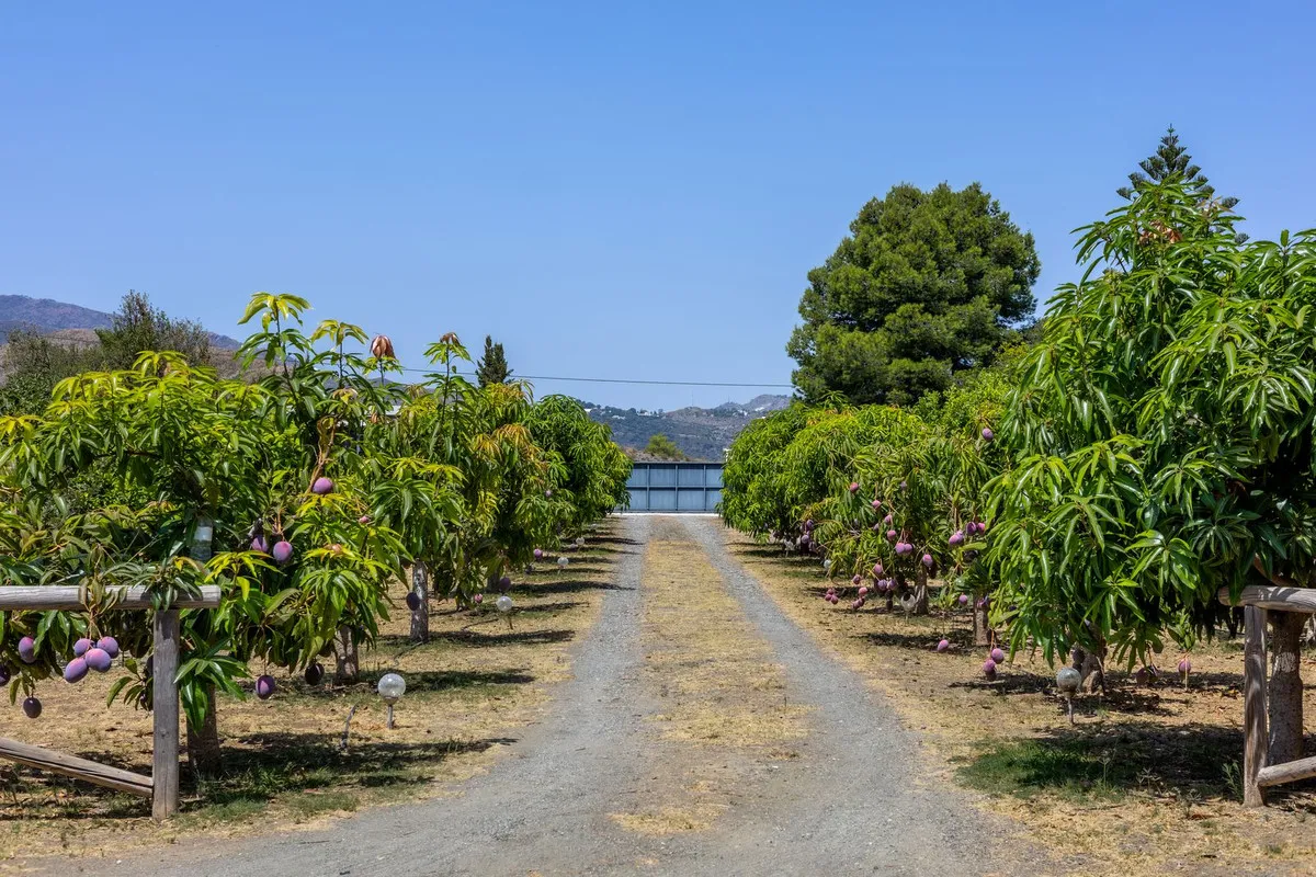 e14ad4cc-f676-4db2-9906-ebd0a0dae506