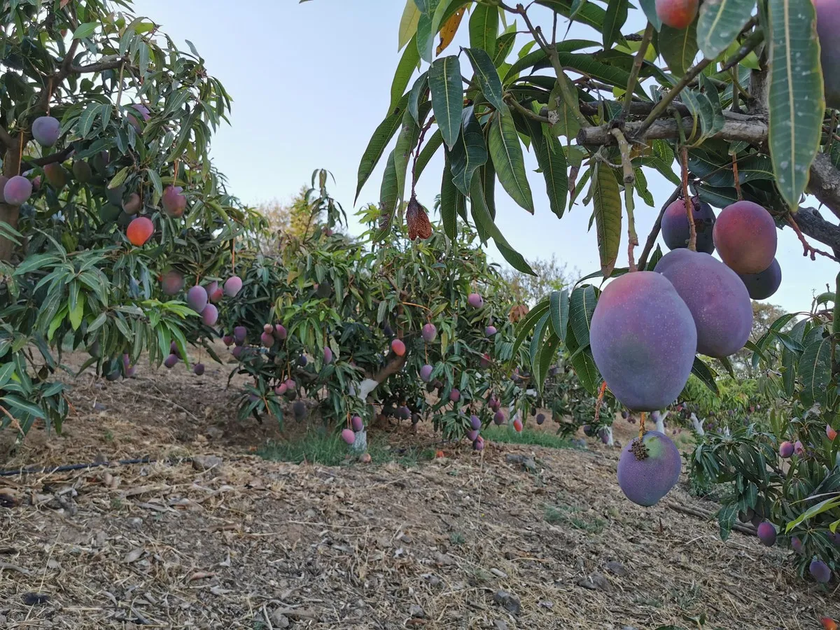 e5d1809c-4a77-45a1-8e3b-f33a8108fa0c