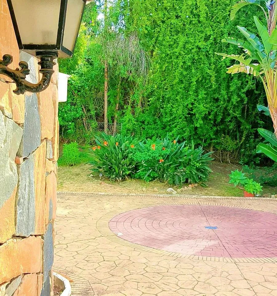 8c09aece-62da-40fa-af32-b9c791ba5d3e