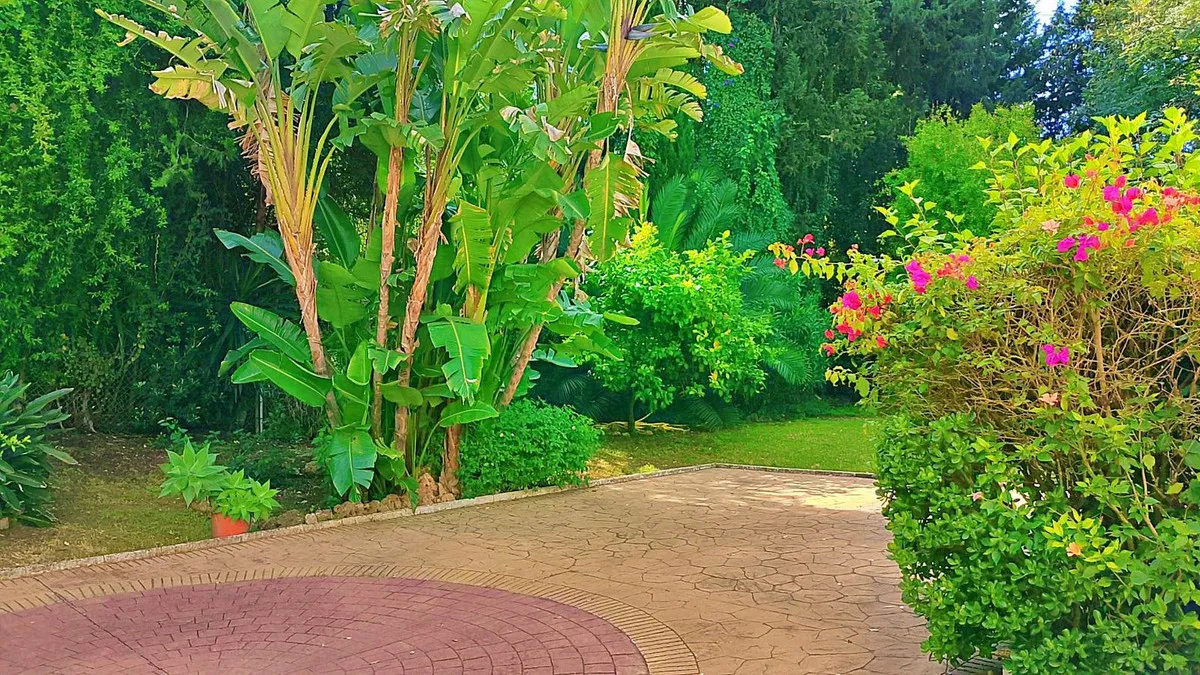 c93111c6-a916-4c7d-b28c-ba368cbbdd4f