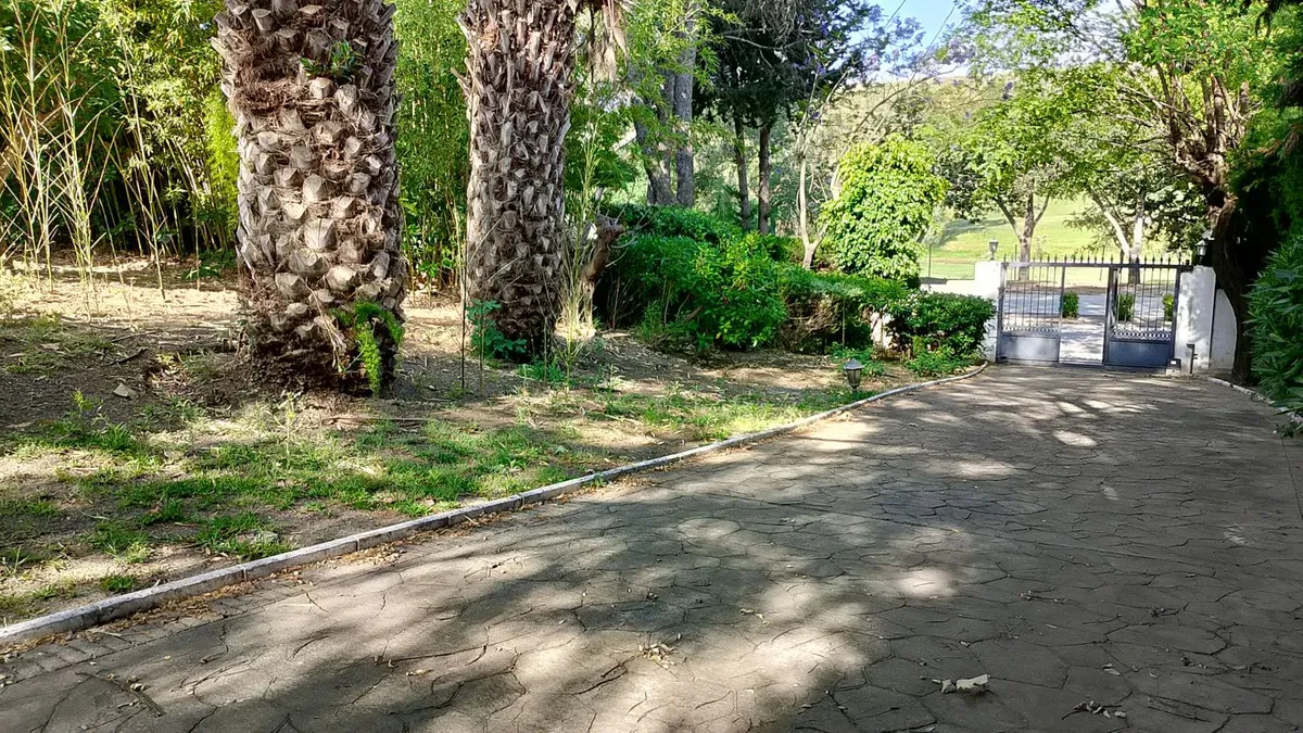 c9776aab-ea40-4265-8ad1-98b42dd84ddb