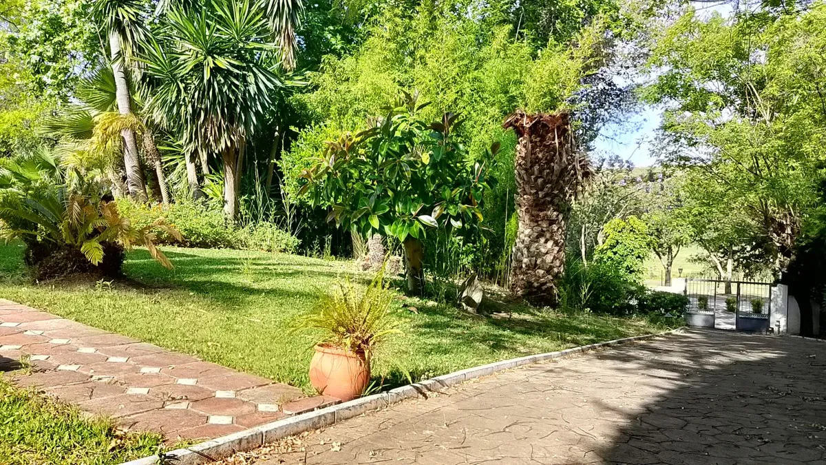 f7df9fd5-2641-452d-9466-8a6e13f31704