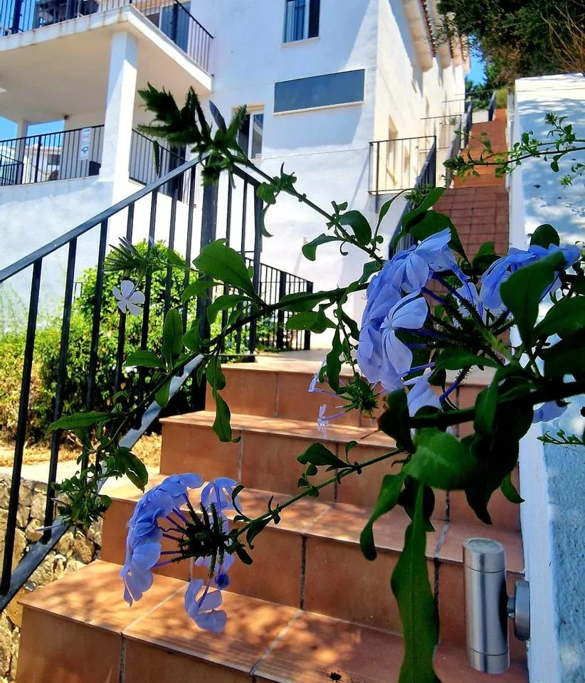 3f478fa2-ff6f-4621-9c8c-7eb4a1d9474a