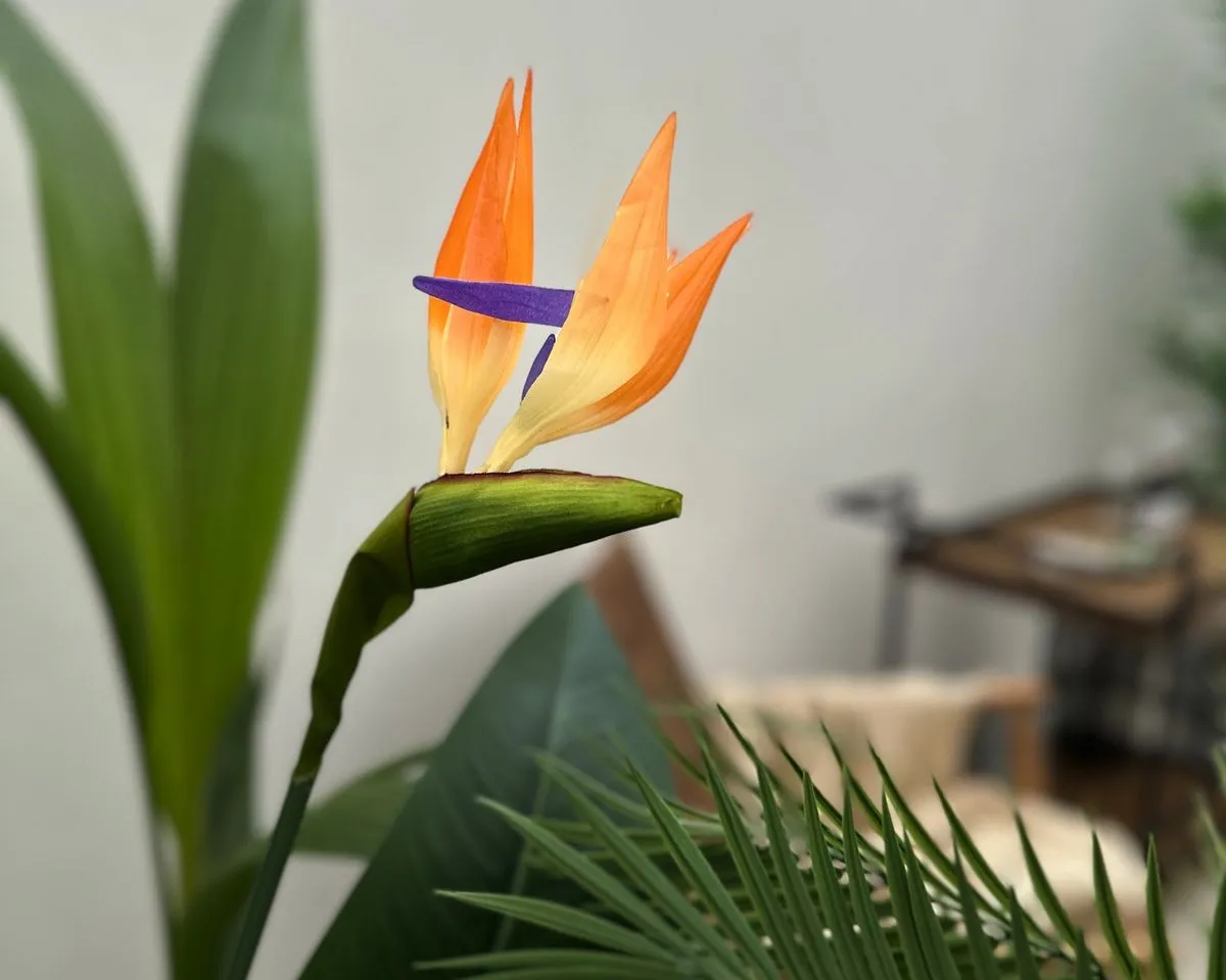 284b8677-19a9-4763-8fd1-fea9c15fe068