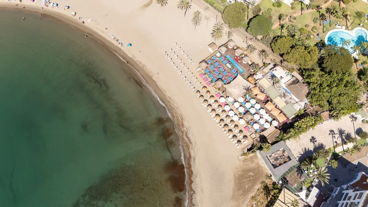 39d3fdcf-3e06-432e-8628-3a1679e1eba0