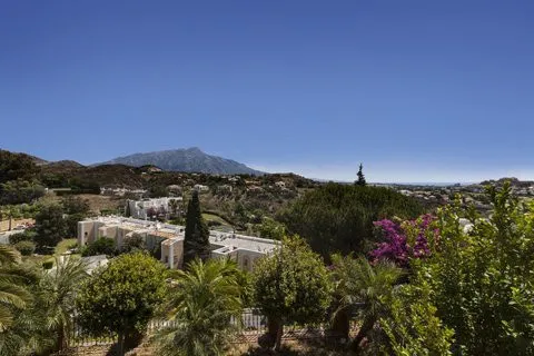 e81a1d65-abce-4ecf-952f-8fac4c403bda