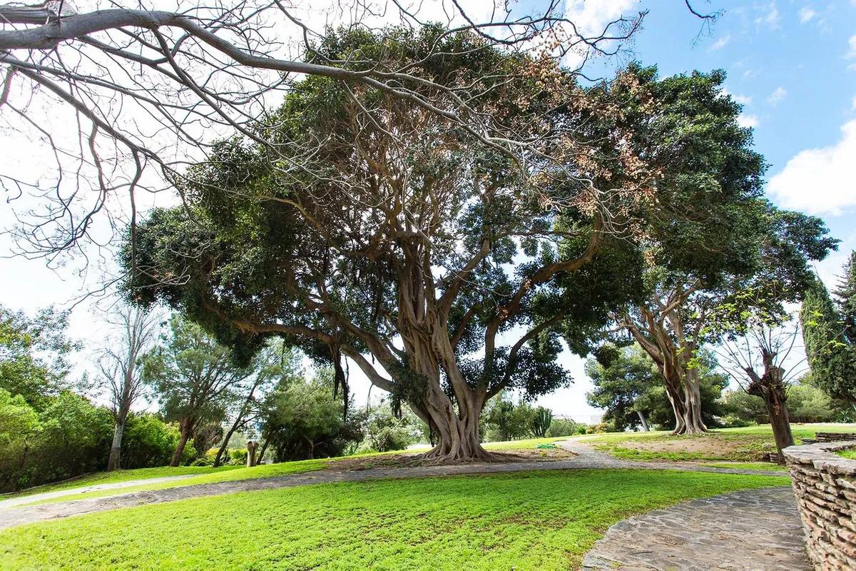 2be629cc-06e8-4f80-a73e-dc900090783b