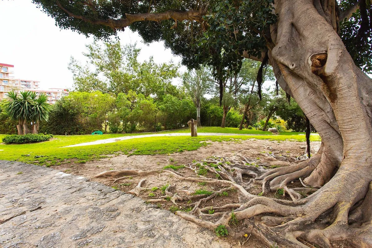 3ab55ae4-7e7a-44a8-8320-c682e4f27063