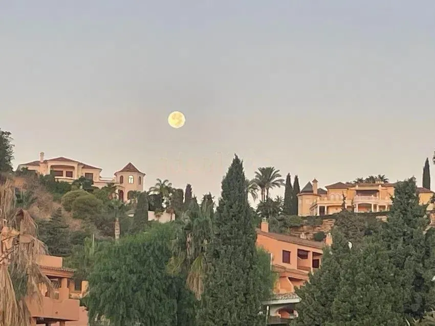 dfe9b08b-cbc9-4ca3-8d84-e221c58abcc1