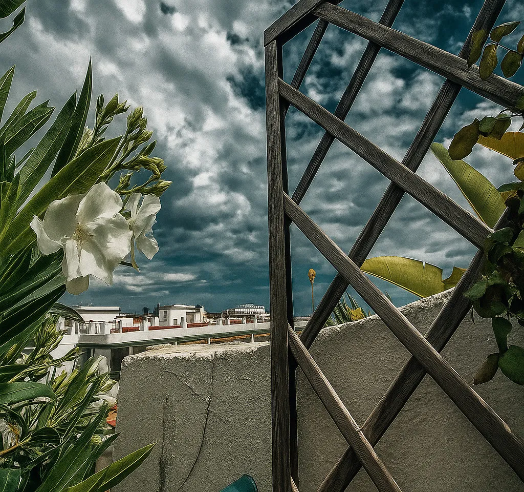 1f2ffa55-bb24-4d6e-a739-4ef6e549641f