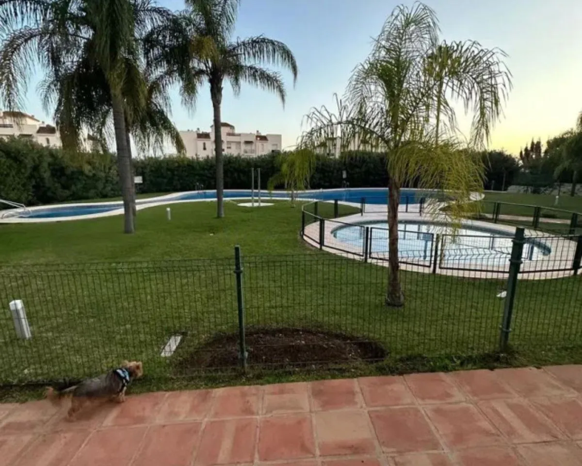 4d94cb91-5612-4179-b5da-f477c5b59e0c