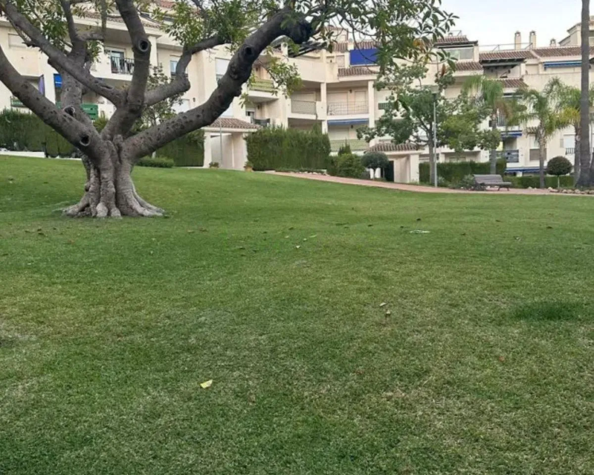 95c2fab2-990a-4b40-ac70-5bb61457711f