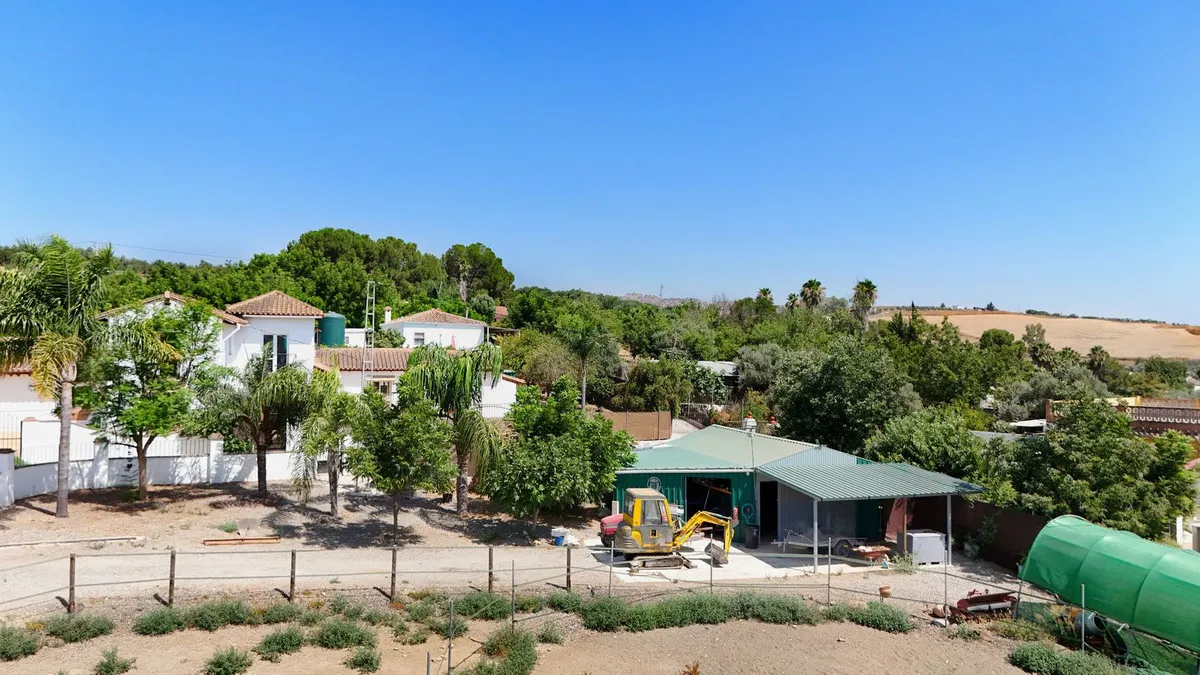 d5d15a76-8723-4b1f-809c-48db169af338