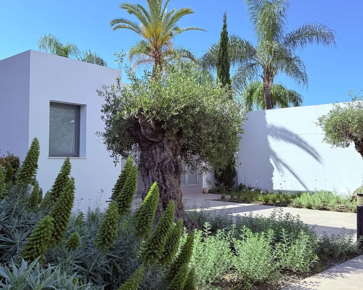 b6352965-7911-49ae-b3c1-40e54d004fd3