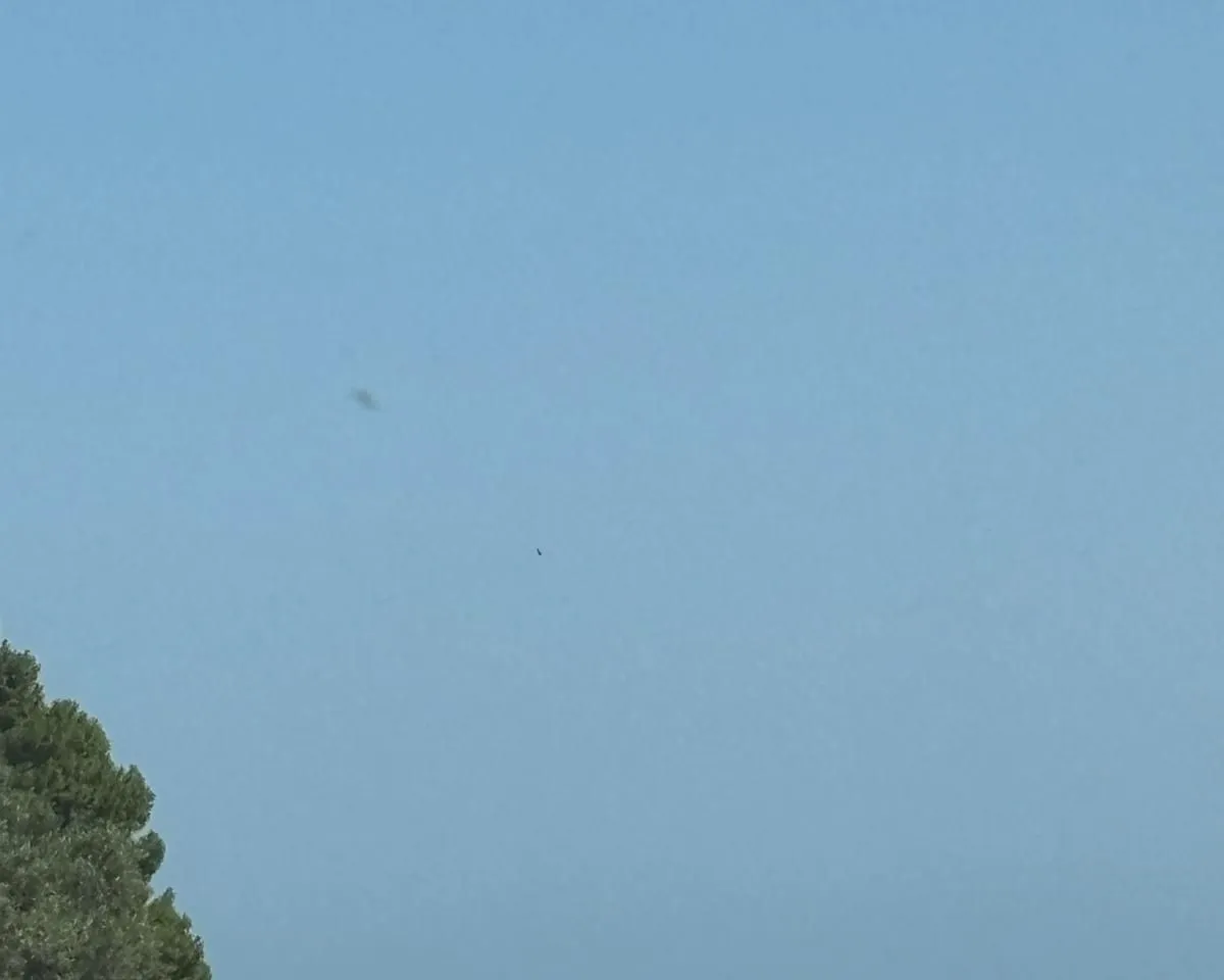 4bd5dee9-075b-4301-9595-6d037029ac4d