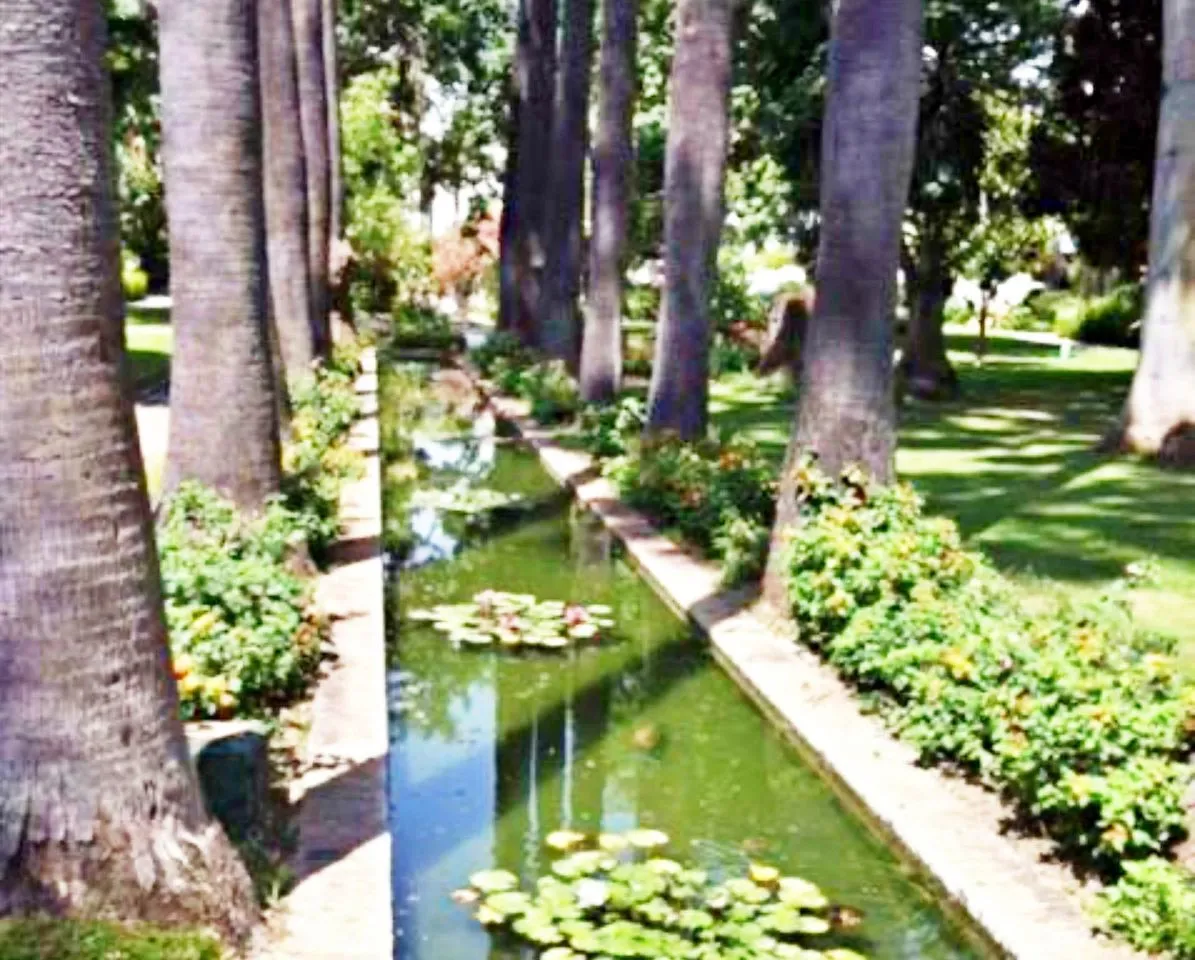 0c429c4a-112f-48a0-8560-6fe318b96d94