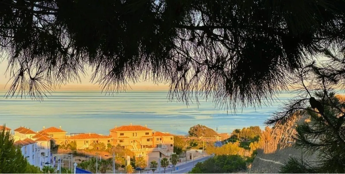 7c1449a4-7f4c-468b-840e-62962e3f2603