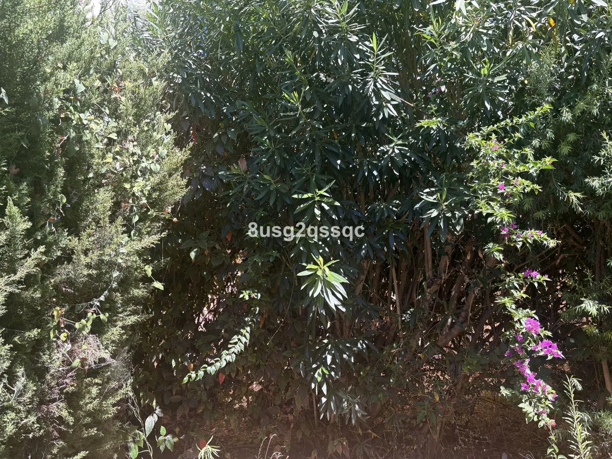 b9e3c8e4-4afb-490d-87ab-9ecf49f2d522