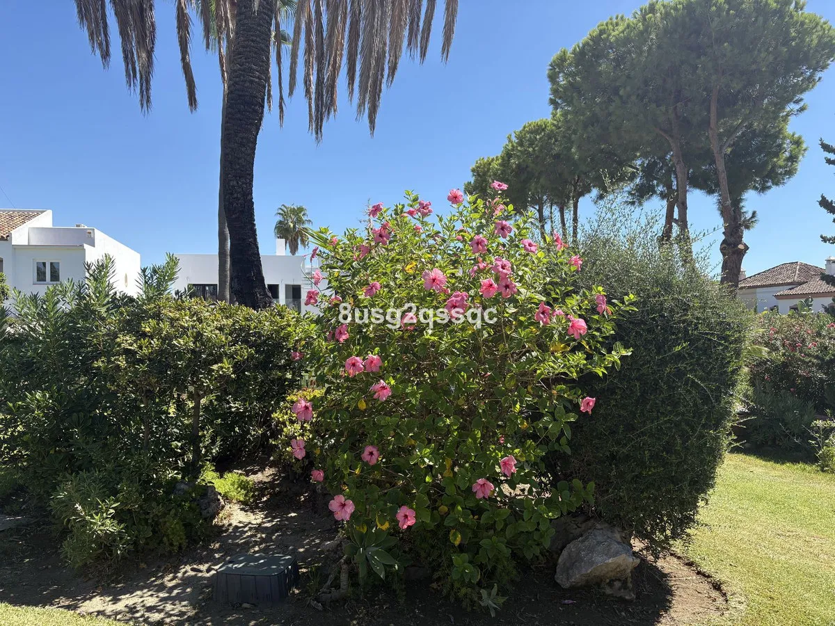 c6a19d86-de06-4076-8984-46beaa899eb9