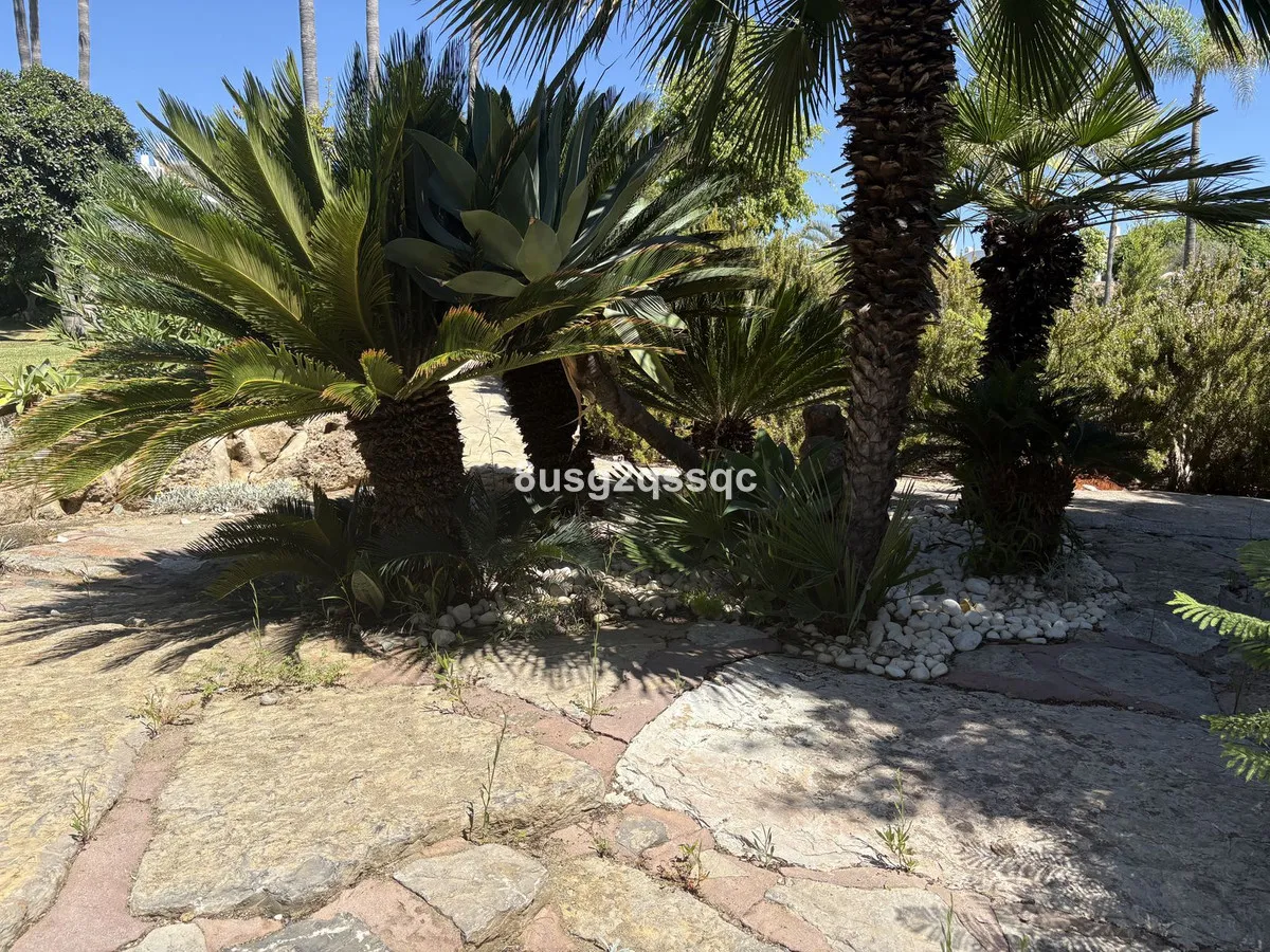 ca39c2da-562c-4576-91f2-2d4c3ebec683