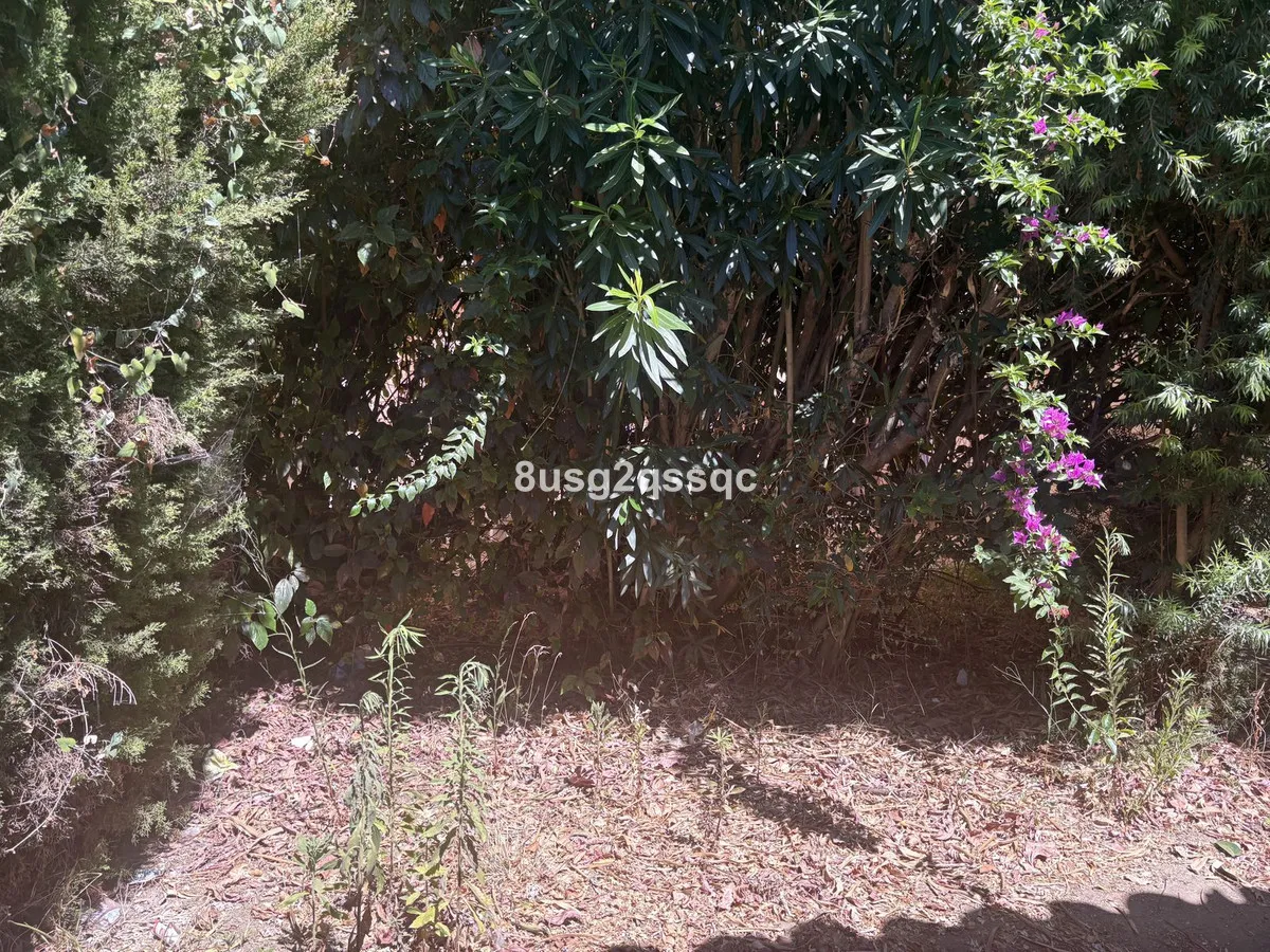 def5ebbe-79de-4b73-8376-7d8022852181