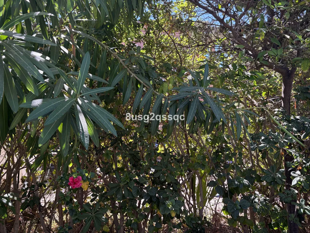 e73b963c-82b9-4899-9d7a-cec42e622435