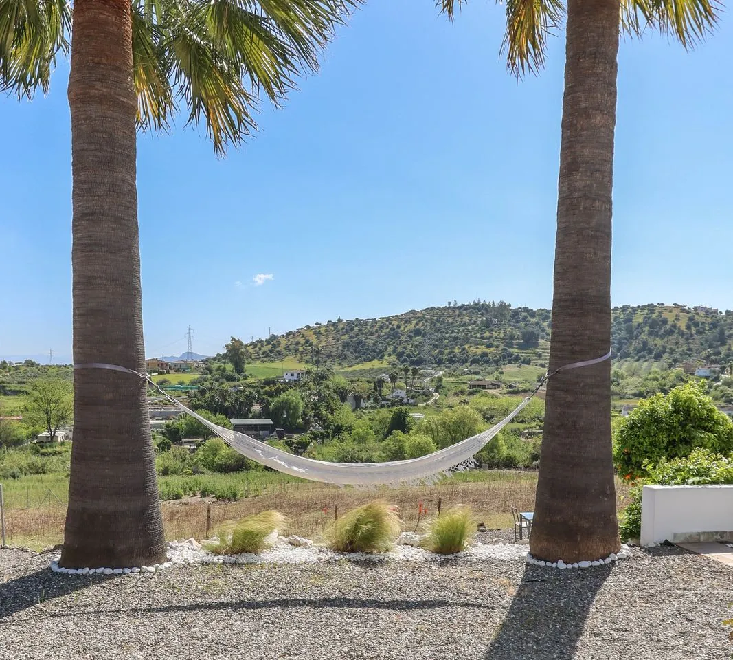 954b751d-3e5e-4d6d-aedc-6b4c164abfe3