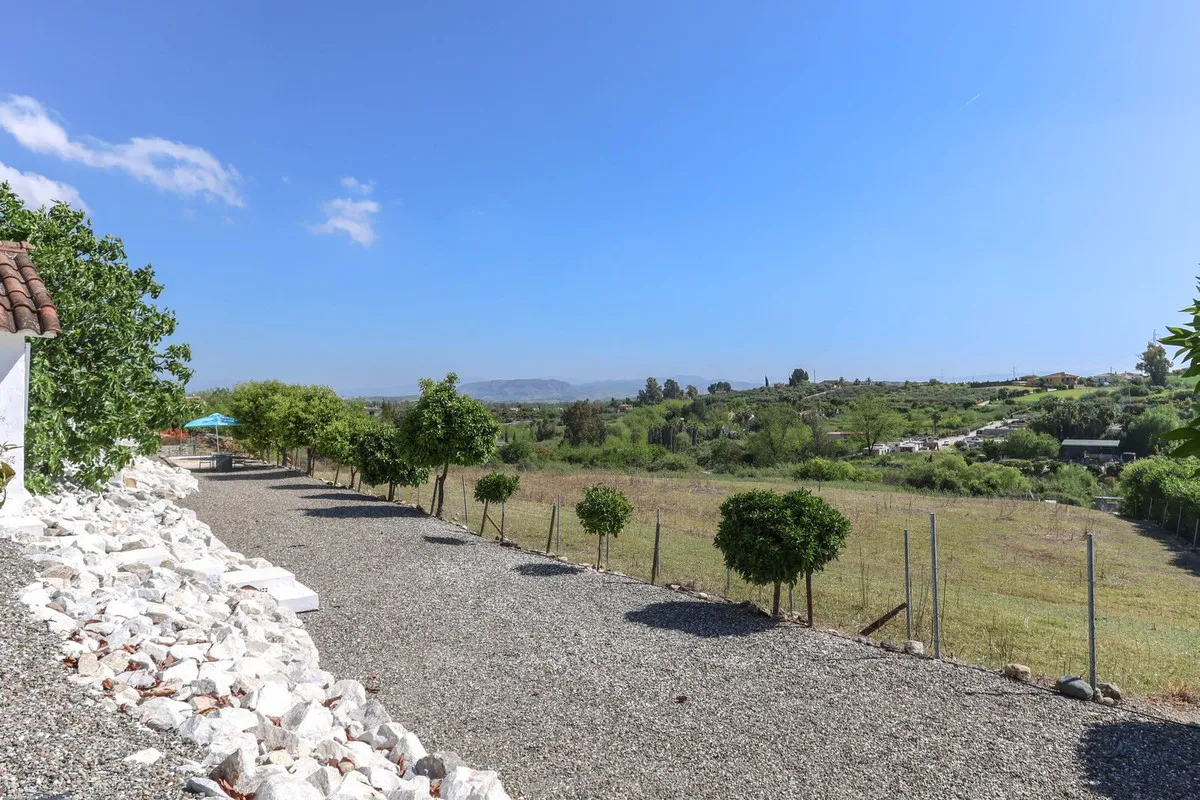 bee5dc4e-3afc-4643-ae6e-e7123a97c509