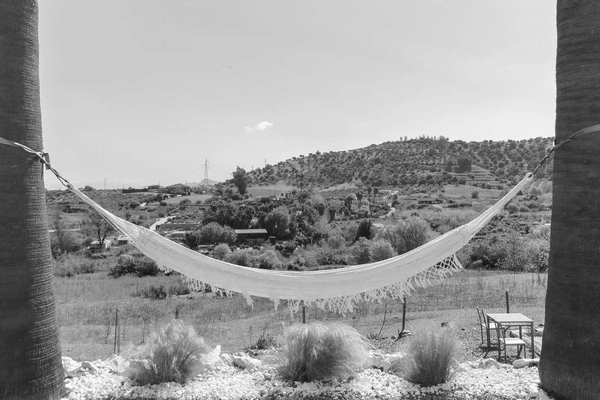 fff46231-f460-473a-a4fa-9aa822660cef