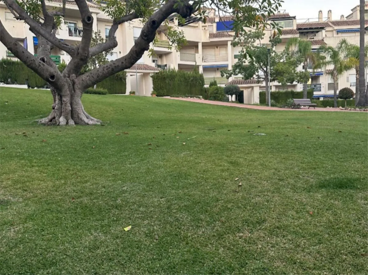 dbe03411-a320-4404-a9d2-dc2cd985b1c9