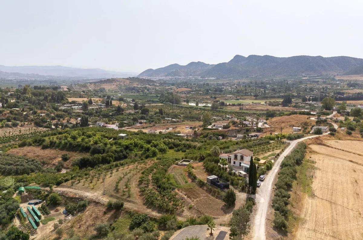 1965541d-ced9-41ee-b21e-0f118863cfbb