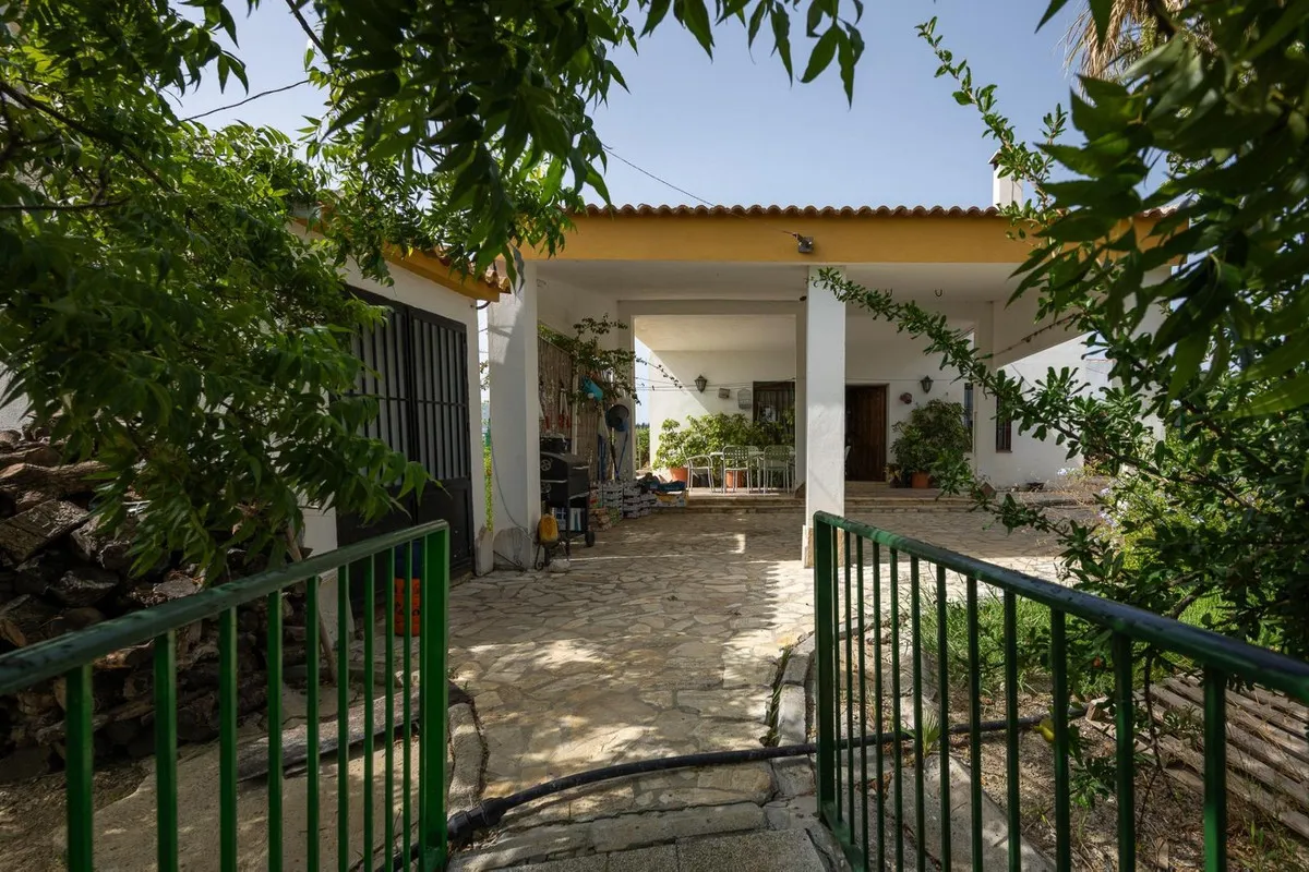 417790a3-d6f8-485d-b1ca-3b29979c0ef1