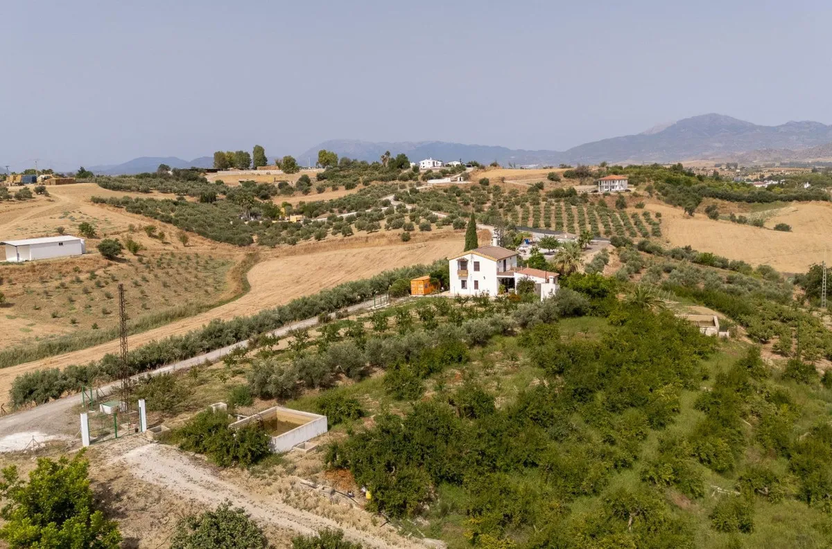 4299207b-ef88-40e9-88b4-fd180a3ac233