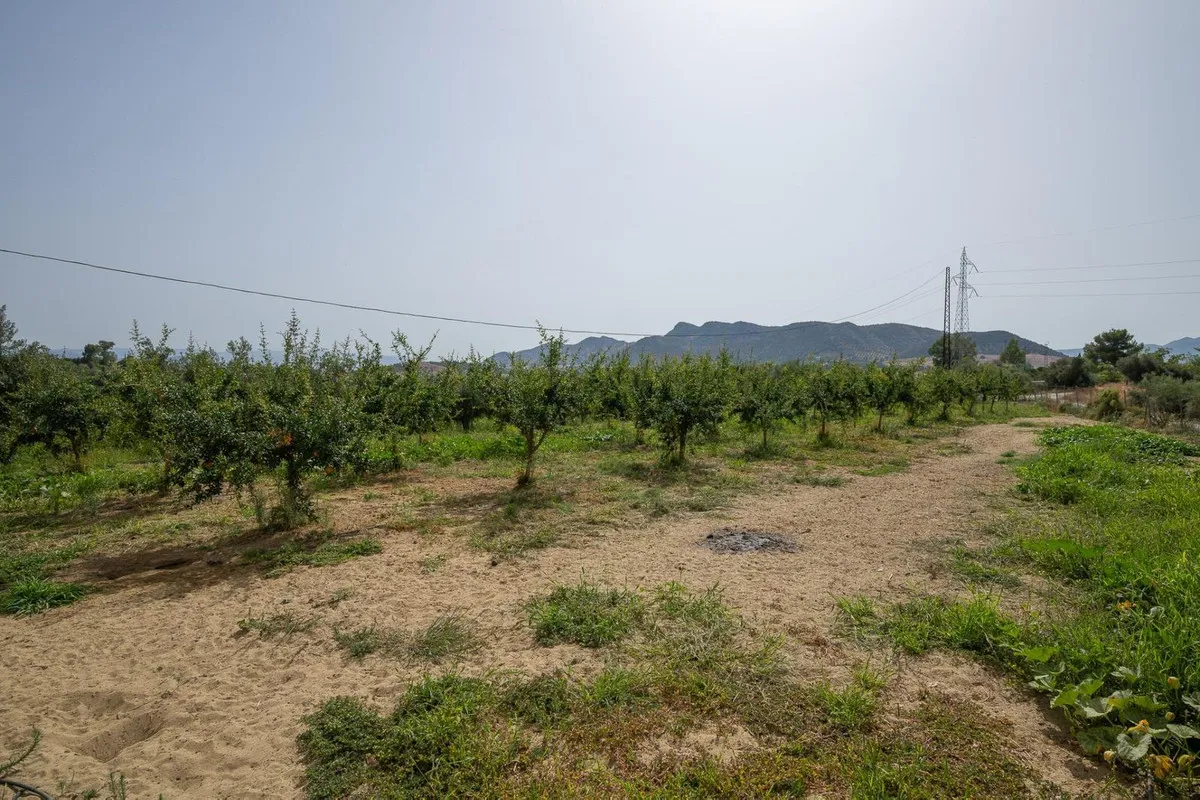 770f9d13-05b9-4825-85d5-1069e0f26c7e