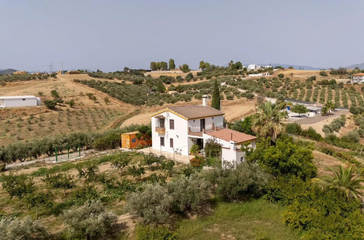 77ac3752-5d7d-468c-b7d0-ef851ec7dcda