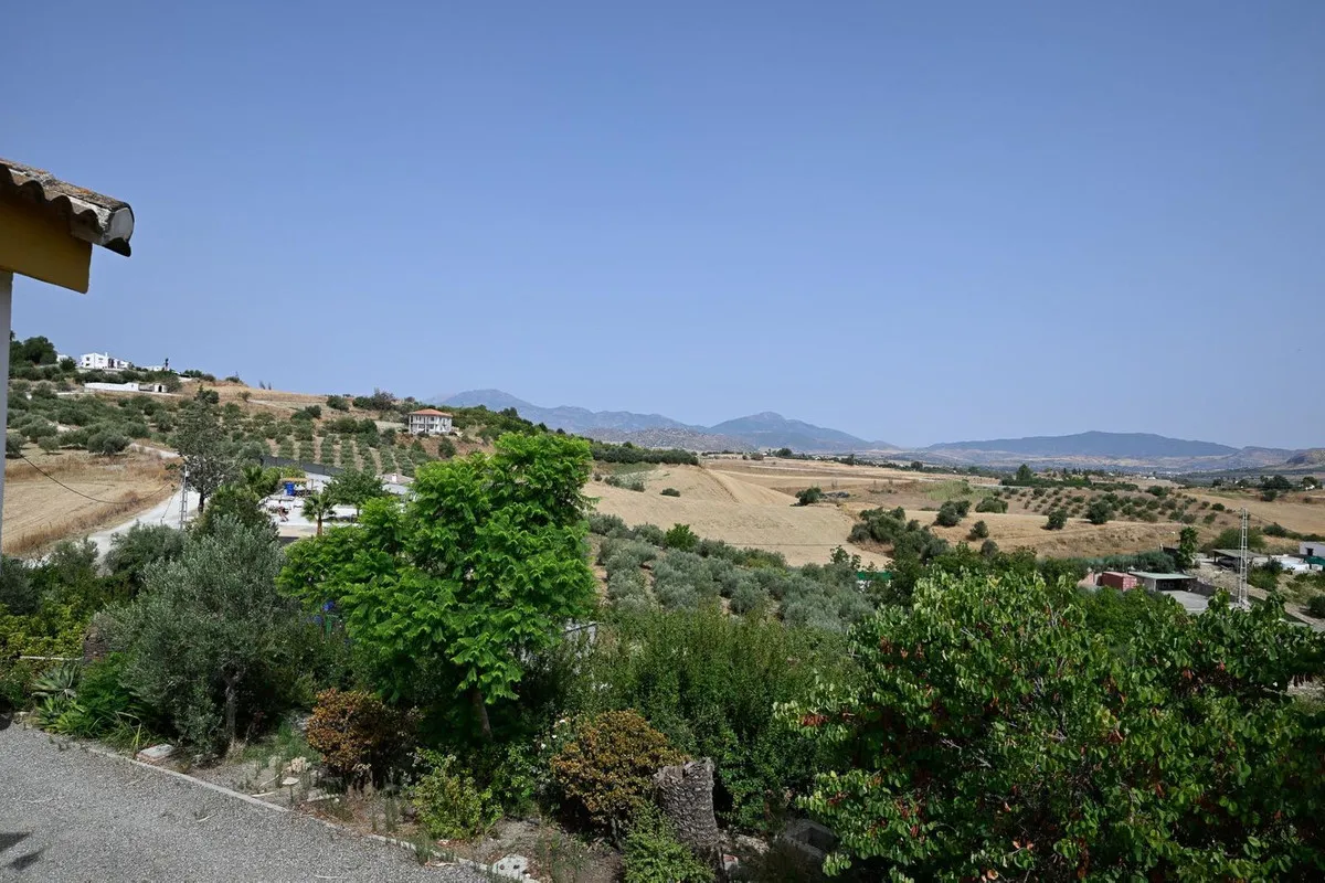 91ca781e-1651-44a0-b8bf-852b11a3ef8e