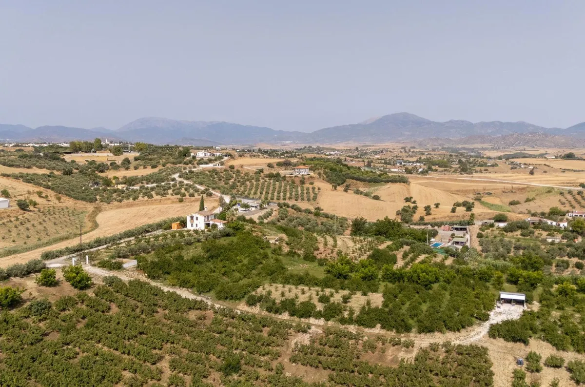 95da767d-beed-43dd-885b-cc377c3af3a2