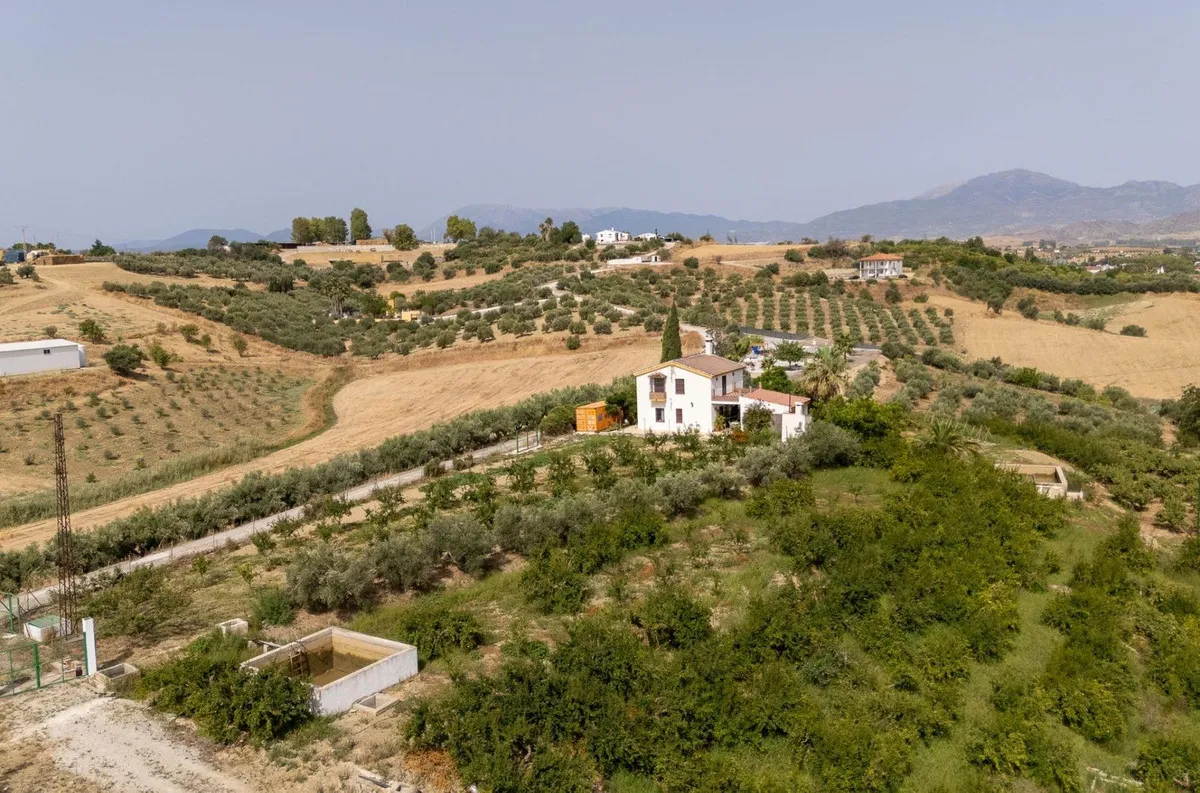 b2c14699-d677-446b-824f-c5c080c7d3ea