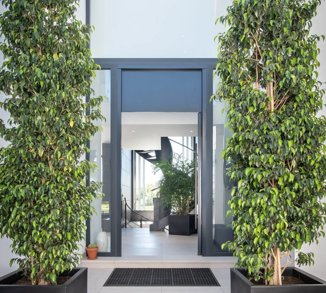 f05e4ebd-8dd5-400f-be82-dba309ae06fa