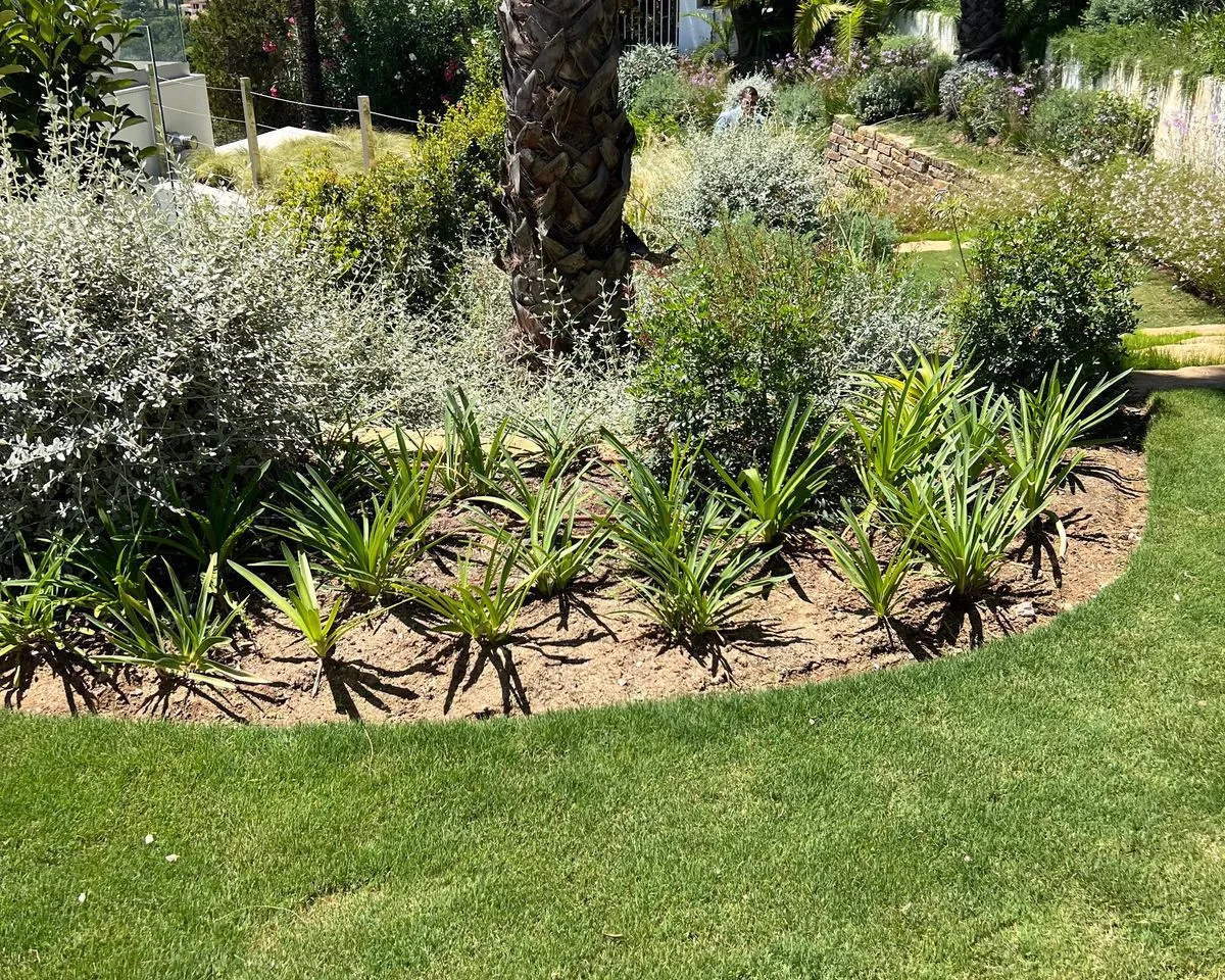 658de61a-afb2-4c92-baed-20e50cb044da